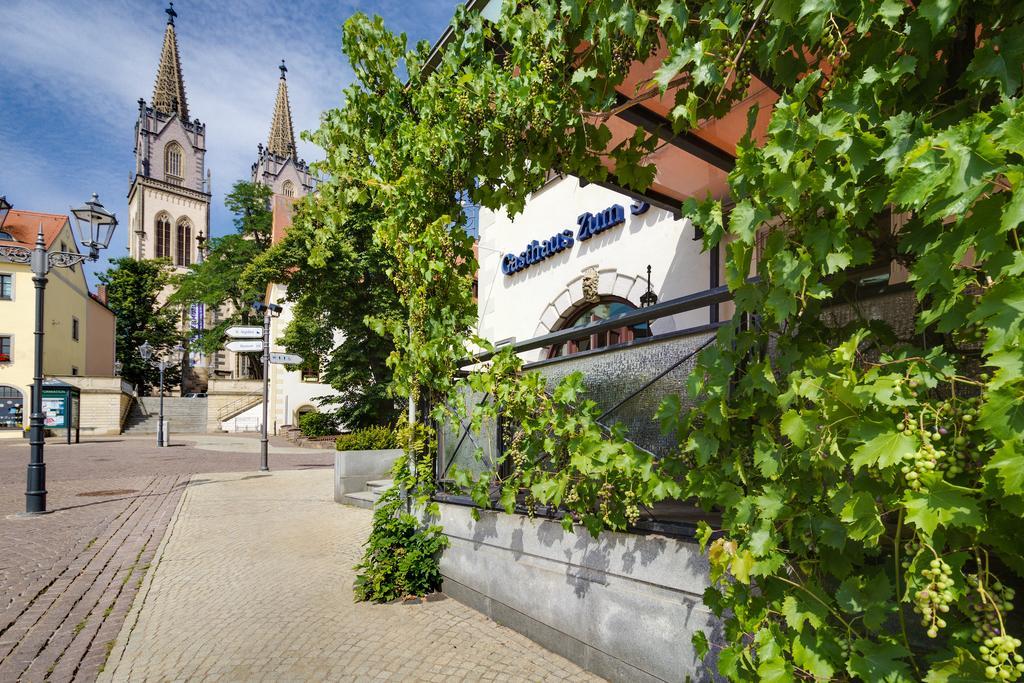 Hotel Gasthaus Zum Schwan Oschatz Exteriér fotografie